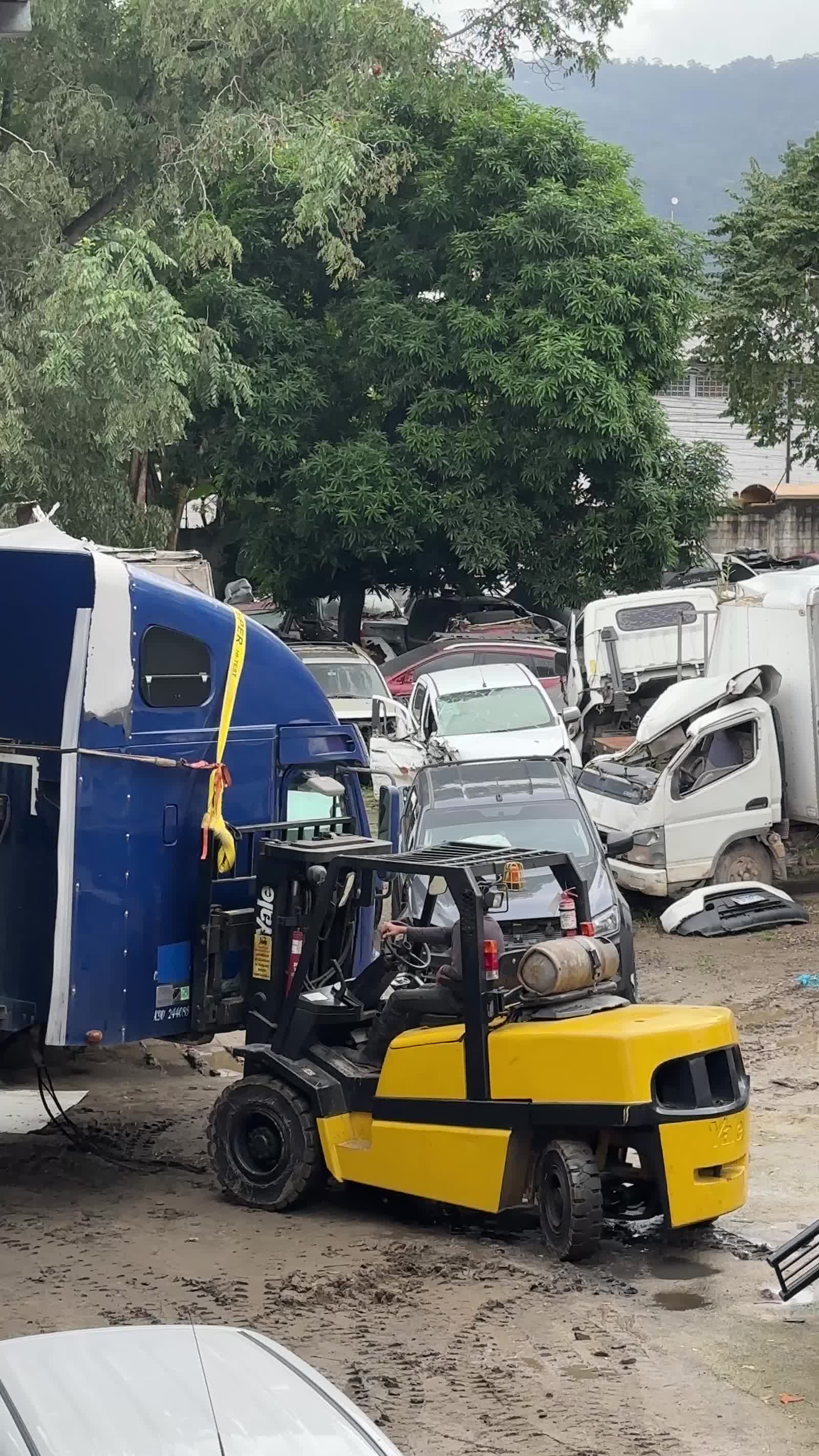 AutoSula Truck Collision
